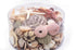 beach mix seashell pack
